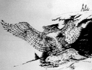 Owl and Rabbit